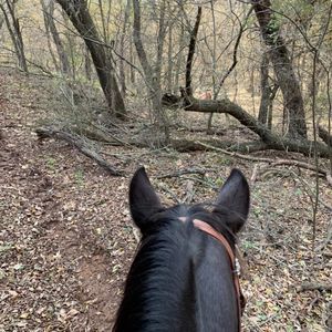 Meet your Posher, Laray